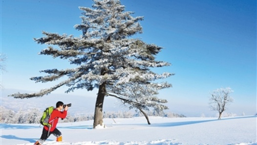 常年å¥?èµ´é??å¤? 建ç?æ¤??©å?¾å? 常年å¥?èµ´é??å¤? 建ç?æ¤??©å?¾å?