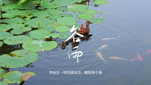 ??äº???????æ°?ä¸???äº?????ç³»å??é«?æ¸?è§?é¢?ï¼?è°·é?? title=