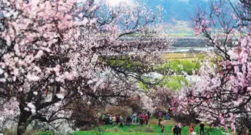 ????æ¡??±é??游å? ????æ¡??±é??游å?