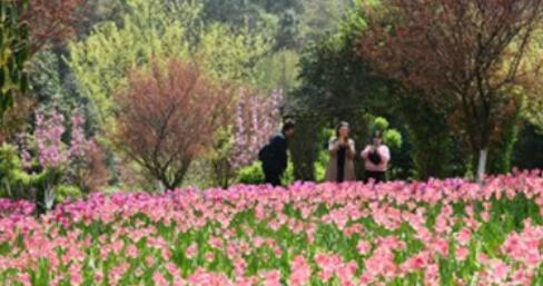 æ¸??????´å??äº??±æ?¥å?游å?903ä¸?人æ? èµ??±æ¸¸???????¨å?ºæ¸¸ä¸»é? æ¸??????´å??äº??±æ?¥å?游å?903ä¸?人æ? èµ??±æ¸¸???????¨å?ºæ¸¸ä¸»é?