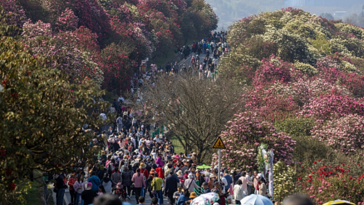 æ¸???????大æ???????人æ?????æ£? ?ºå?游è??»å¹´????å¢???9.6% æ¸???????大æ???????人æ?????æ£? ?ºå?游è??»å¹´????å¢???9.6%