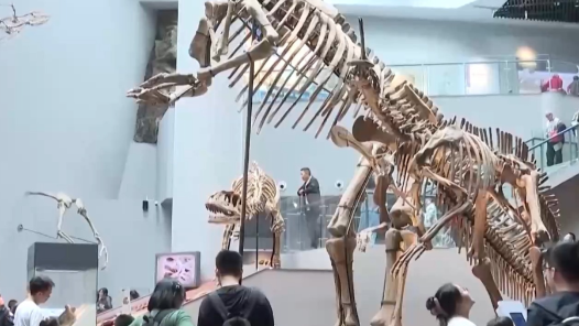 æ¸??????????©é???为游客æ?°å? è¿?äº??°å?å±?é¦?ä½???è¿?äº???ï¼? æ¸??????????©é???为游客æ?°å? è¿?äº??°å?å±?é¦?ä½???è¿?äº???ï¼?