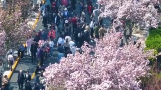 ??游å?ºè??¥å??å¥?#32;å¤??°æ???ºç?°å¤§å®¢æ? ??游å?ºè??¥å??å¥?#32;å¤??°æ???ºç?°å¤§å®¢æ?