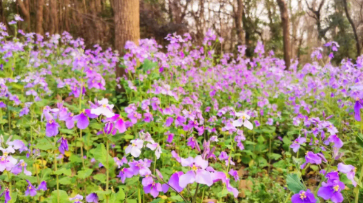 æ¸???????????游ç?©æ??´å??? title=