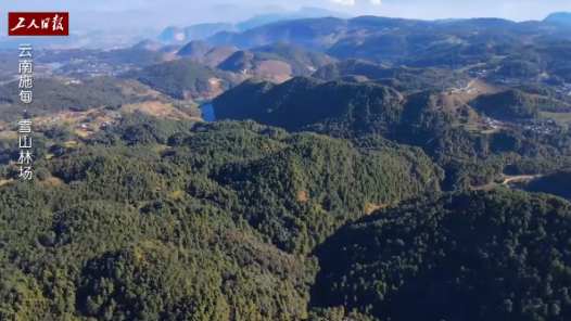 ?¤æ????赵海æ°?ï¼?ä¸???为â???»â??å½?????£«?? ä¸?妻为伴绿??å±? title=