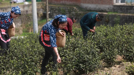 ??åº?å¿??¿ï?ä¸?è´??¥å?????¶å? ??åº?å¿??¿ï?ä¸?è´??¥å?????¶å?