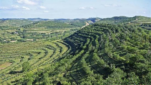 ???¥æ?æ¢?å¥??±å? ???ºå?乡å?©æ???? title=