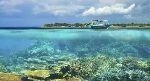 ä»?å¹´å?¨ç????游ä?产å?¼æ??è¾?1.1ä¸?亿ç??? ä»?å¹´å?¨ç????游ä?产å?¼æ??è¾?1.1ä¸?亿ç???