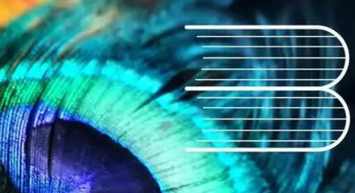 ç¬??å±??¨æ???读大ä¼?å°??¨æ????举å?? ç¬??å±??¨æ???读大ä¼?å°??¨æ????举å??