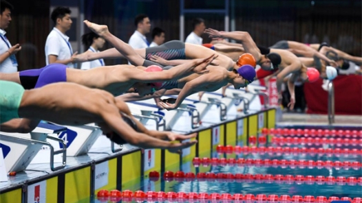 146家游泳å?ºæ??è¡¥é?äº?许å??? 146家游泳å?ºæ??è¡¥é?äº?许å???