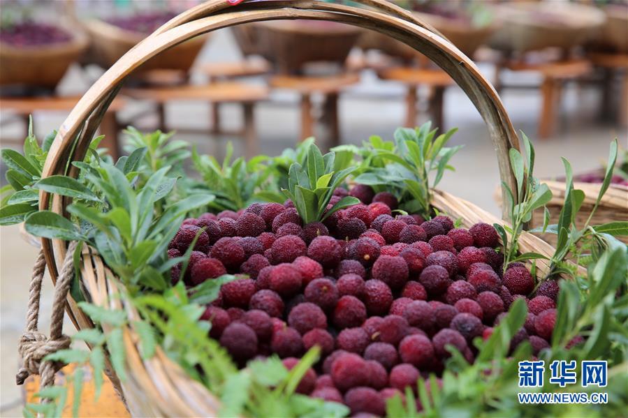 #£¨Éç»á£©£¨1£©¹óÖÝ鎣ºÈ¤Î¶Ñî÷½ÚÓËÄ·½¿Í