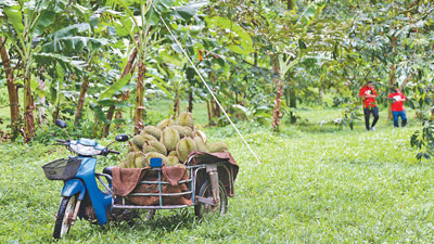 æ³°å?½å?举æ??????æ°´æ??产é?? æ³°å?½å?举æ??????æ°´æ??产é??