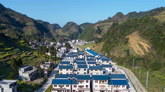 ְˡ¡Ը˯Ƚˮĸɲŵù