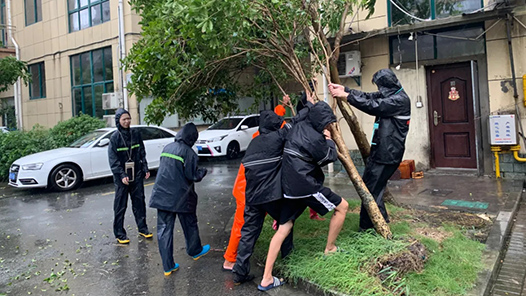 ͣˡӶϮ㽭ᡰˡְһ