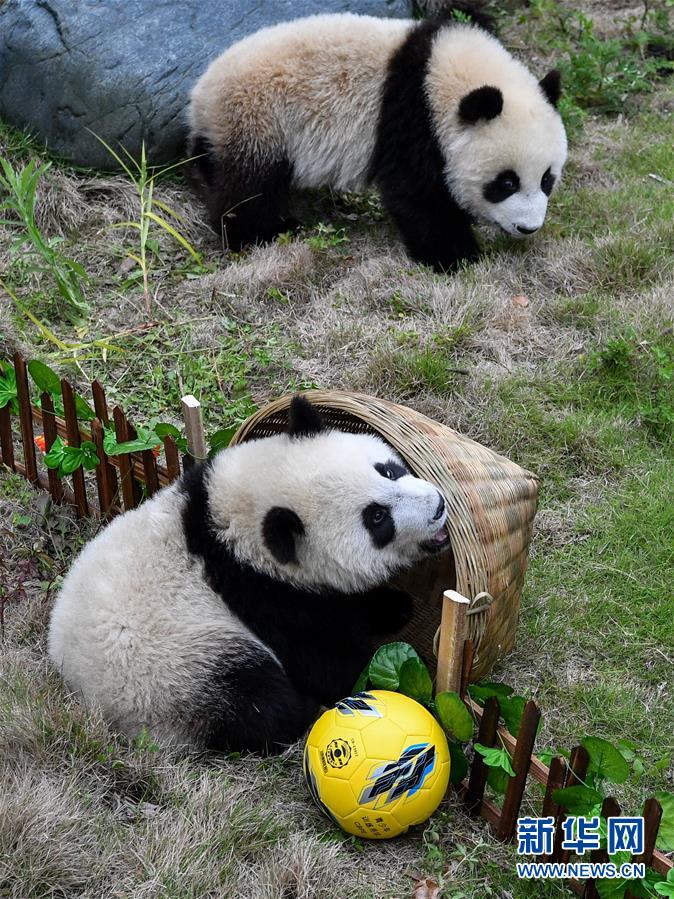 ᣩ4è 籭