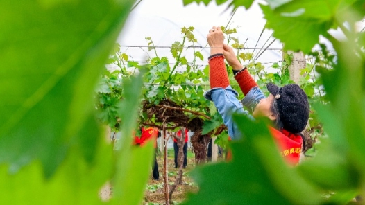 �?西�?��?�??�模?��?????��?��??乡�?????? title=