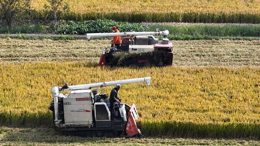 我国全面实施新一轮千亿斤粮食产能提升行动