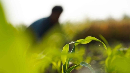 天津???辰??????季?亮???????泥?? ????????