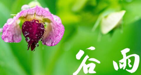 ??令??·谷???19??1??9??谷????????????椿????丹