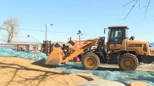 ??粮??大?产??米?????#32;??????????????????