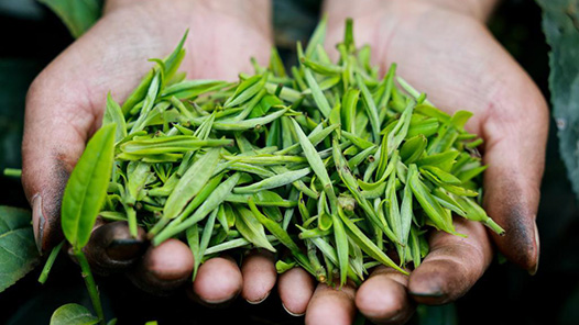 贵??????解??????工????