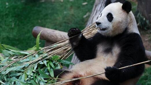 大???????????????翻????????????影????