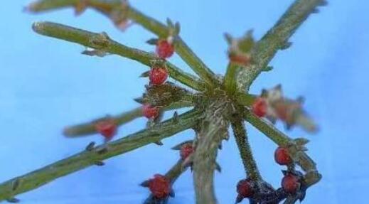 ??海?添????纪??????????轮?? title=