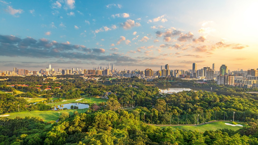 ????????????绿??碳?????????????