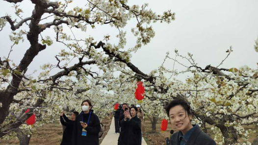 “春游河北赏百花”活动启动