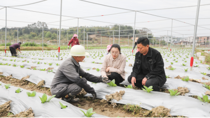 福建龙岩市总工会：派驻干部扎根基层 赋能乡村振兴