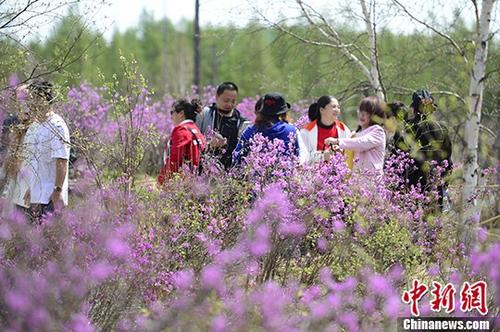 ͼοڶž黨פͻ<a target='_blank' href='http://www.chinanews.com/'></a> Ļ 