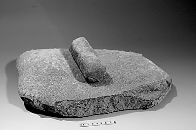 ??????????????代?????渡????