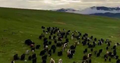 ?????????????????????