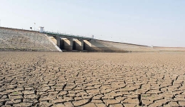 持续严重干旱拖累多国经济