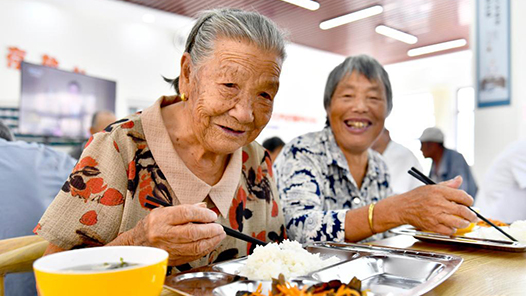 健康中国 奋发有为｜第十四届亚洲营养大会在成都召开——科学补营养 吃对更健康