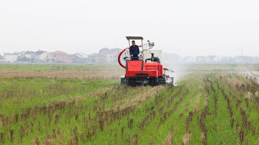 劳模风采·2022年陕西省劳动模范｜李娟：将新技术、新模式运用到生产生活中