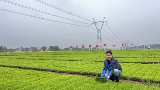 劳模故事·岳阳市劳动模范丨：我要带领更多人智慧种田