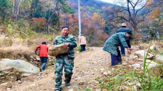 大别山里的“兵支书”：乡村振兴领头雁 群众致富领路人