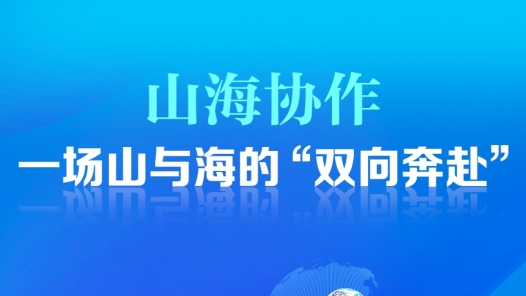 山海协作，一场山与海的“双向奔赴”