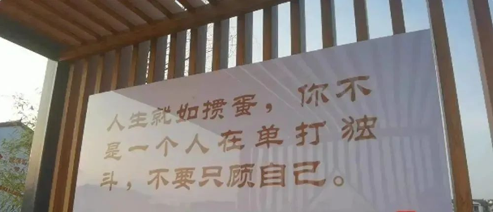 QQ截图20240131155735